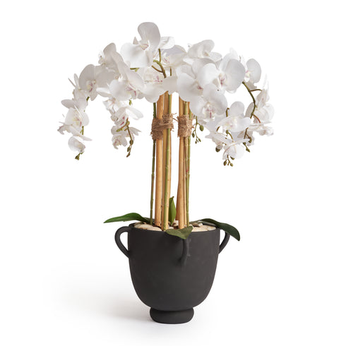 Orchid Planter