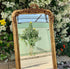 Belle Mirror