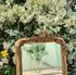 Belle Mirror