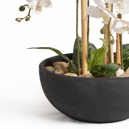 Orchids in Black Pot - Large